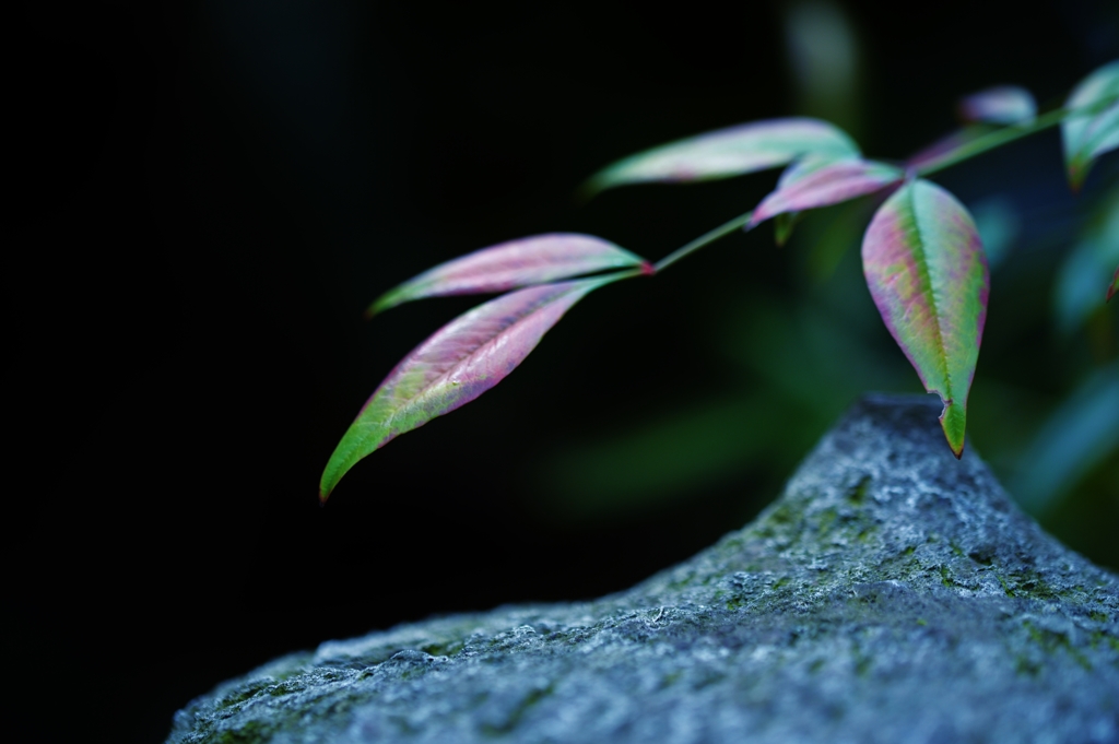 「侘・寂」