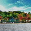天龍寺　曹源池庭園　～京都嵐山晩秋紀行～