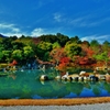 天龍寺　曹源池庭園　龍門の滝　～京都嵐山晩秋紀行～