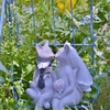 「猫たちのエアリーフォト」