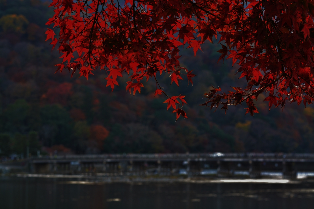 宵の渡月橋