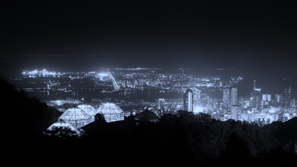「港町神戸の夜景」　～その輝きプライスレス～