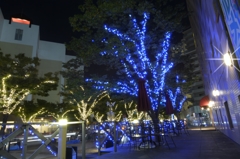 夜の帳が降りる頃