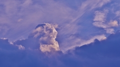 「夏の空」