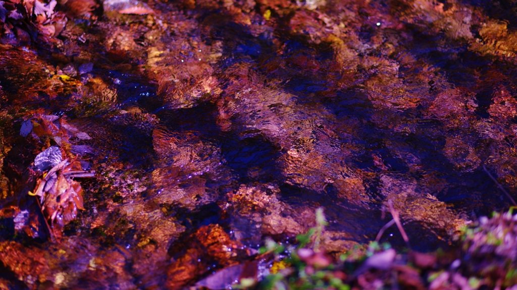 「秋色に染まる渓流」