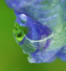 Blue & Green