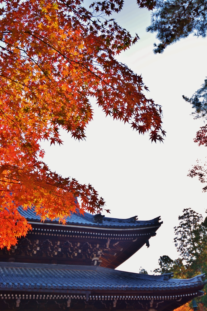紅葉する南禅寺　～其の二～
