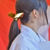 初々しい　巫女さん
