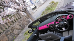 オープンカーと桜