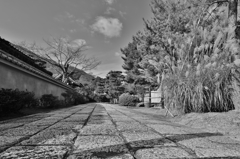 天龍寺参道　～京都嵐山晩秋紀行～