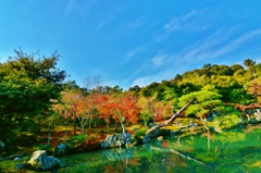 天龍寺　曹源池庭園　～京都嵐山晩秋紀行～