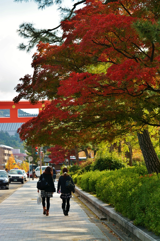 京都　～紅葉紀行を終えて～