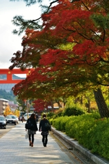 京都　～紅葉紀行を終えて～