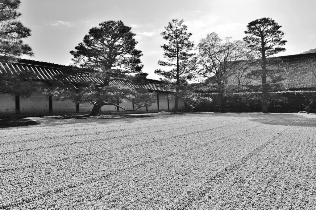 大方丈庭園　～京都嵐山晩秋紀行～