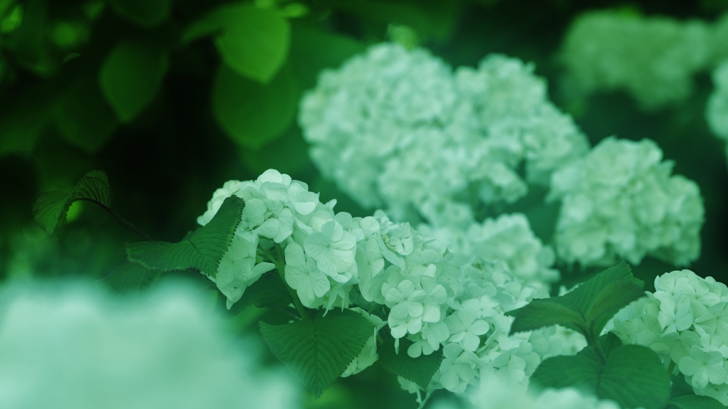 「小雨の中で」