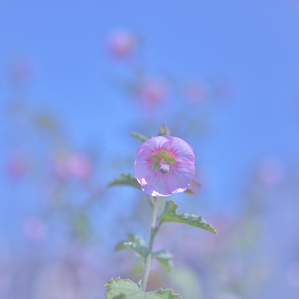 「春を楽しむ」