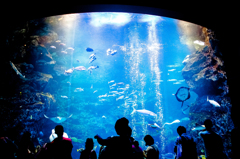 Aquarium