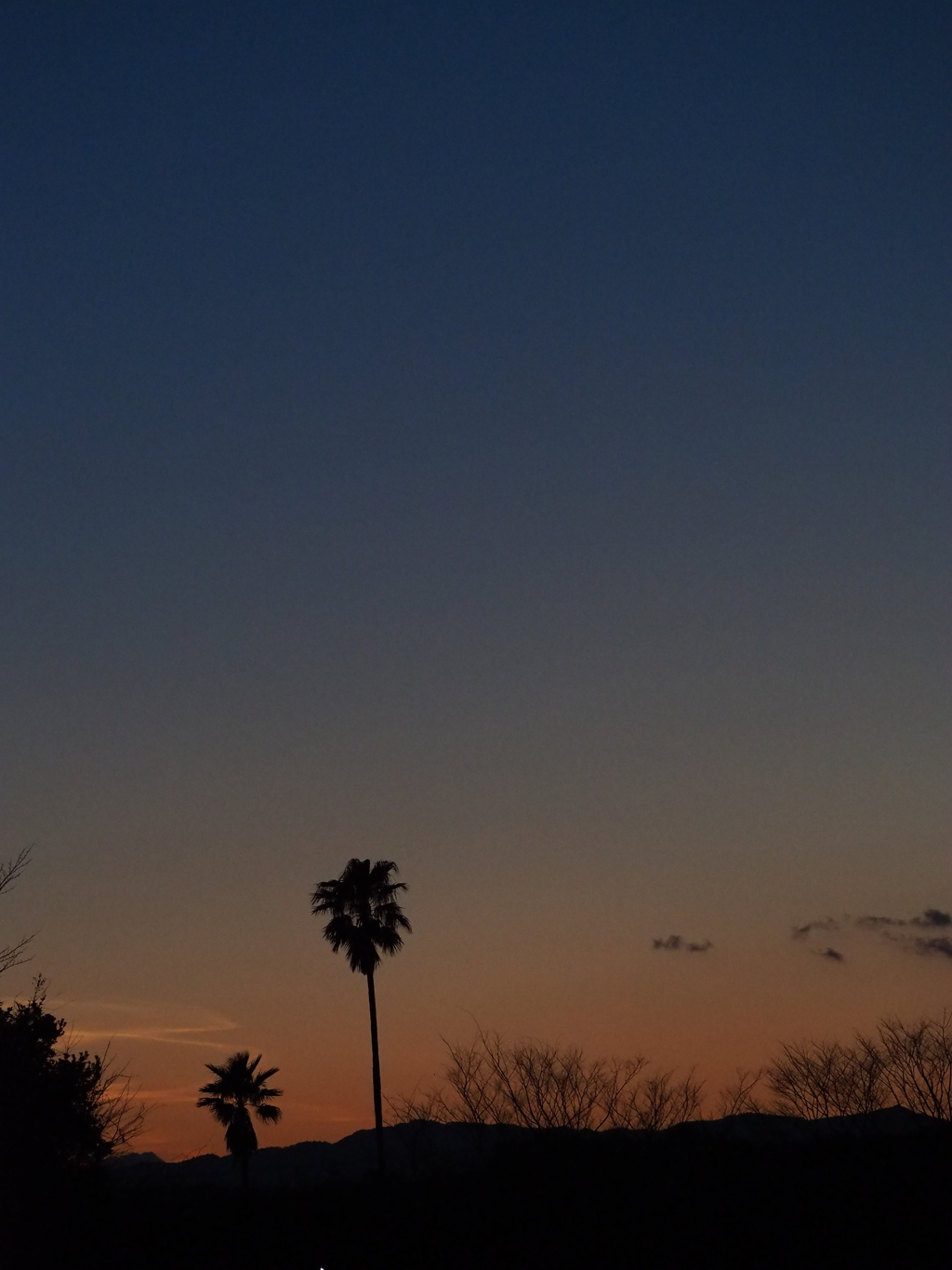 夕暮れ