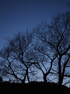 三日月