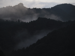 雨上がり