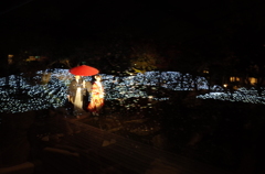 披露宴