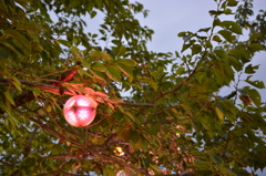 牛岐城LED