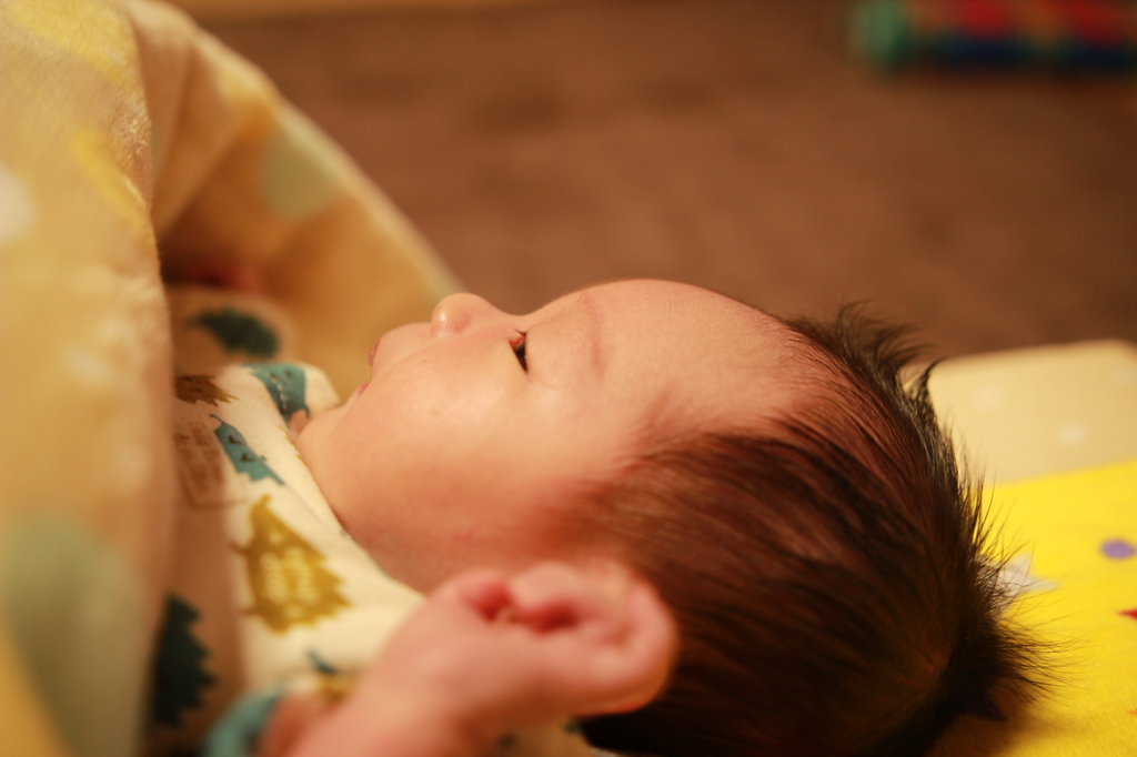 新年を息子と一緒に