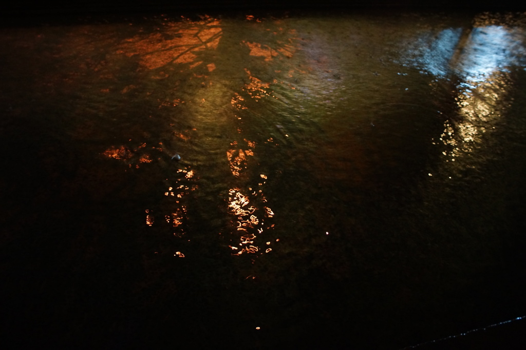 Rain 2013.10.15