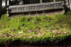 Uji Kyoto 2013.11.09