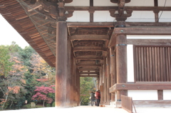 Nara 2013.11.18