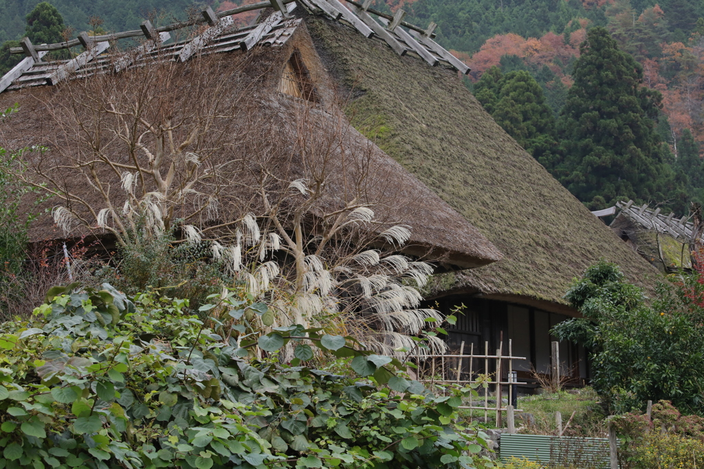 KYOTO