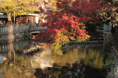 Kyoto 2013.11.23