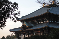 Nara 2013.10.28