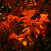 2013.12.28