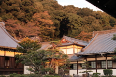 Uji Kyoto 2013.11.09