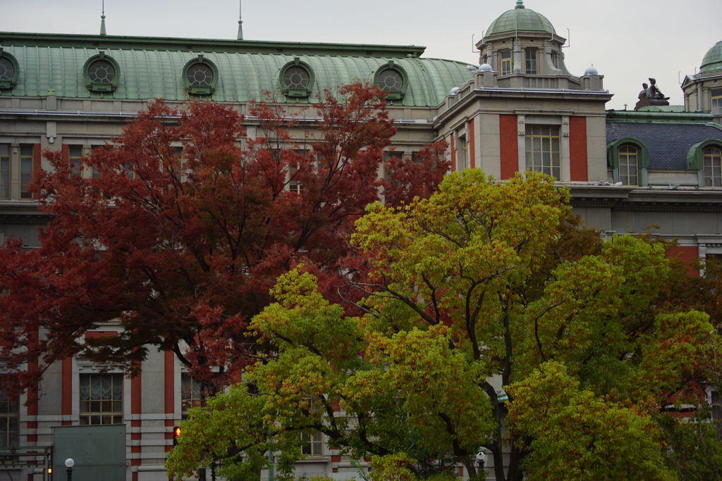 2013.11.06