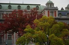 2013.11.06
