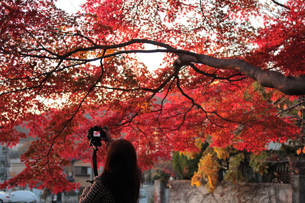 Kyoto 2013.11.30