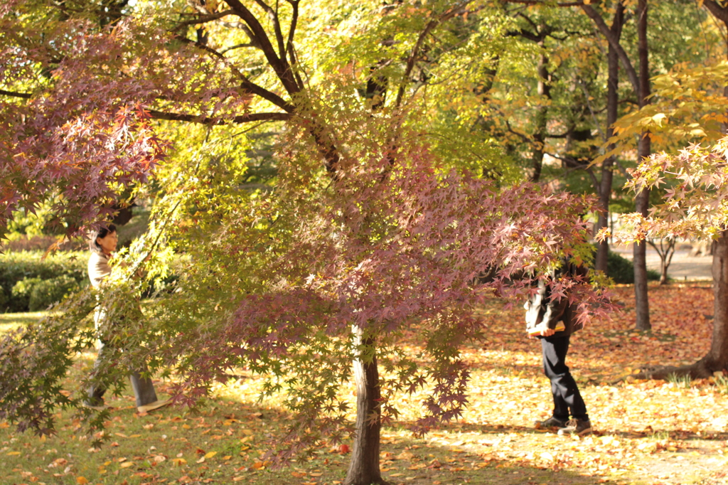 Kyoto 2013.11.23