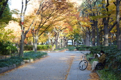 2013.11.28