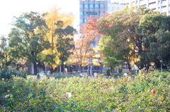 2013.11.28