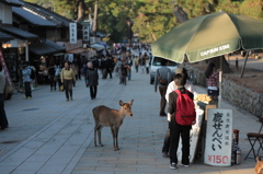 Nara 2013.10.28