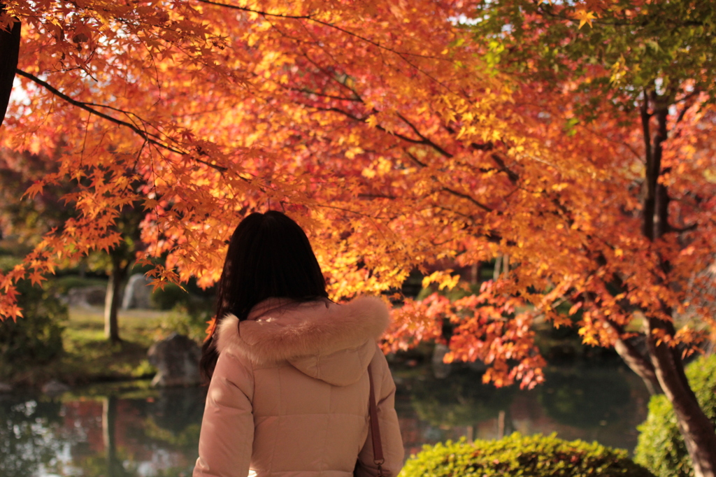 Kyoto 2013.11.23