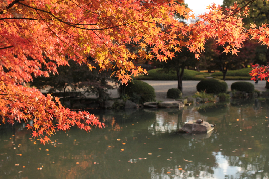 Kyoto 2013.11.23