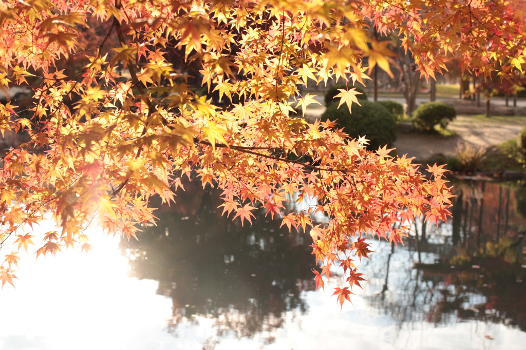 Kyoto 2013.11.23