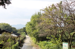 大神神社　2013.10.26