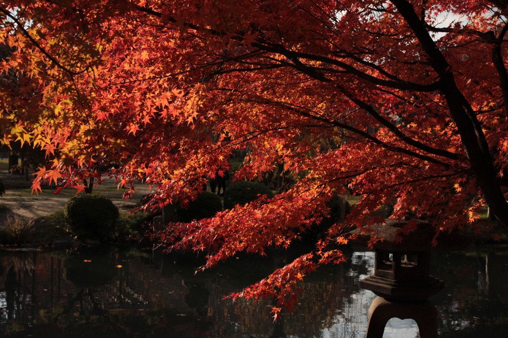 Kyoto 2013.11.23