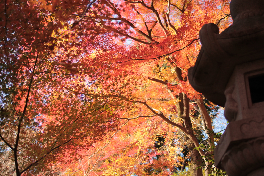 Kyoto 2013.11.30