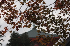 高野山 2013.11.02