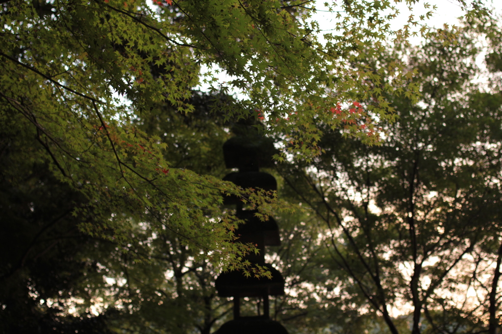 Uji Kyoto 2013.11.09